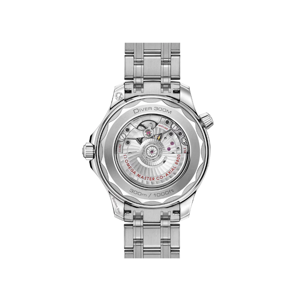 O Seamaster Ref# 210.30.42.20.06.001