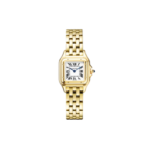 C Panthere de C W2PN0006